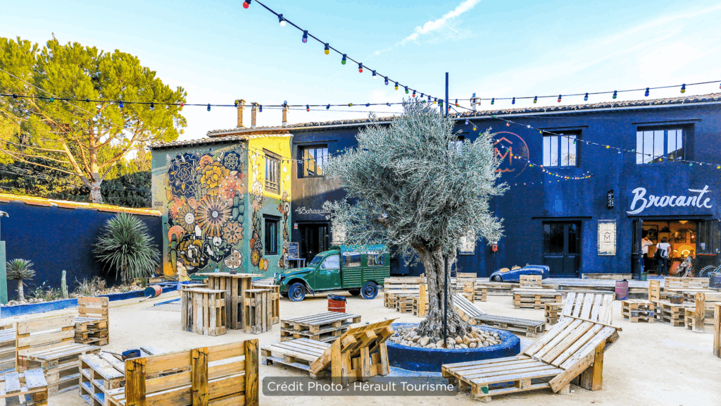 Marché du Lez Montpellier, agence immobilière Domis Montpellier